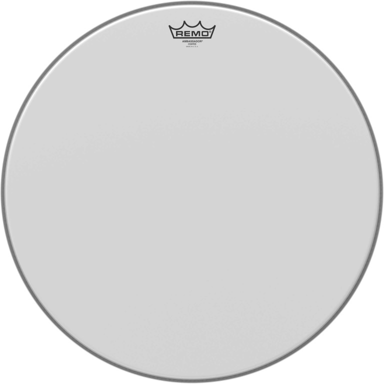 Peau Ambassador sablée 20" pour Tom sur pieds