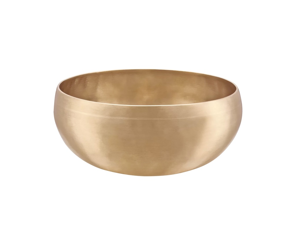 SINGING BOWL SONIC ENERGY SYNTHESIS 1000