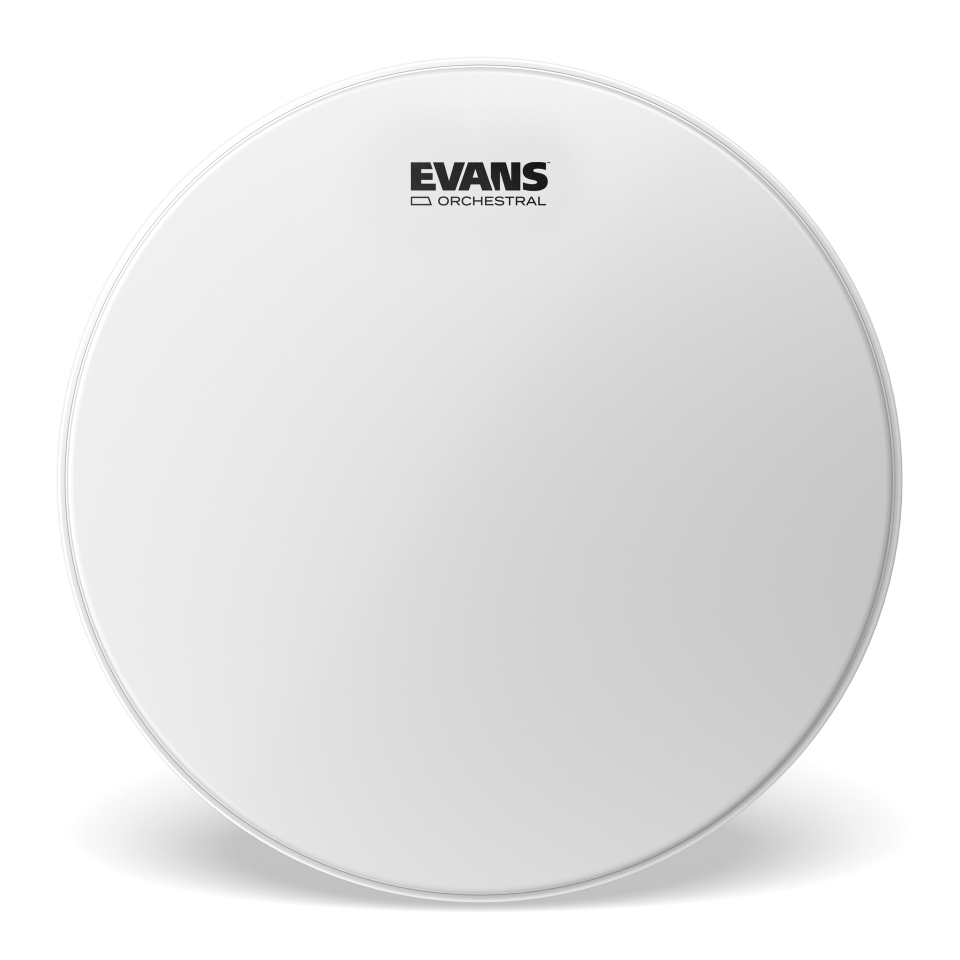 EVANS 13" Orchestral Snare Batter