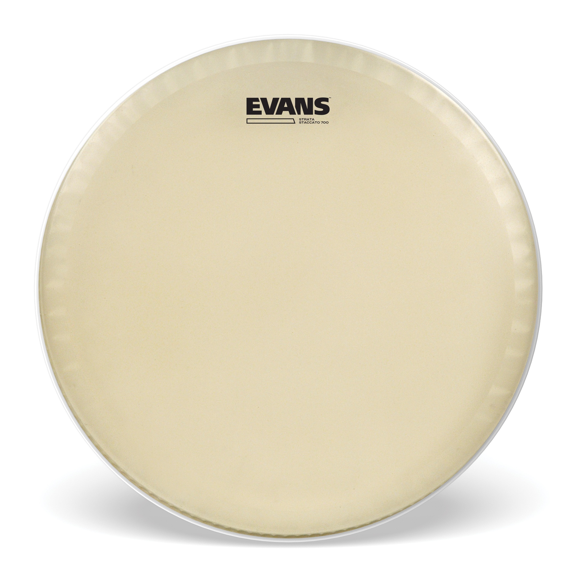 EVANS Strata Staccato 700 Concert Snare Drum Head, 14 "