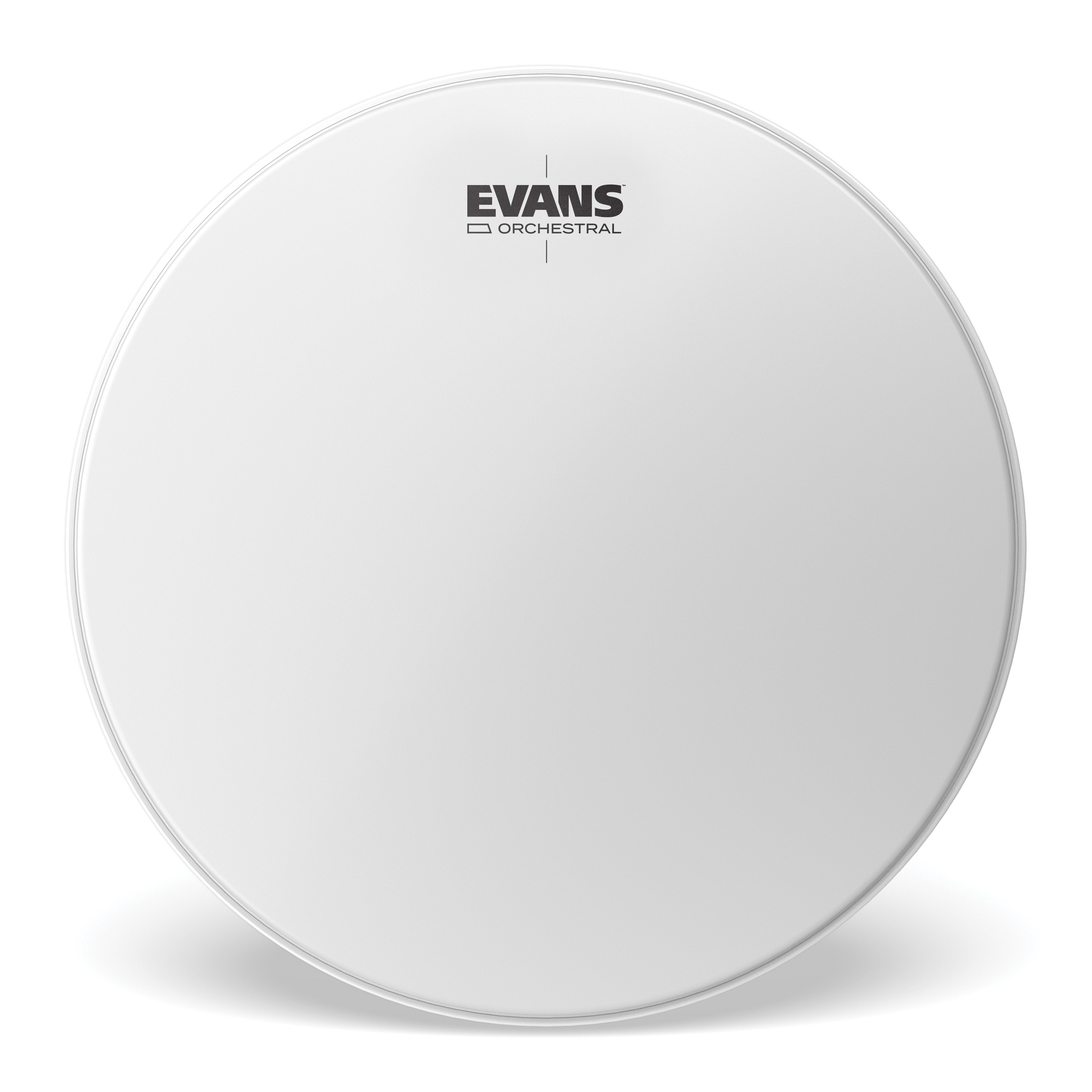 EVANS Orchestral Timpani Drum Head, 27.75 "