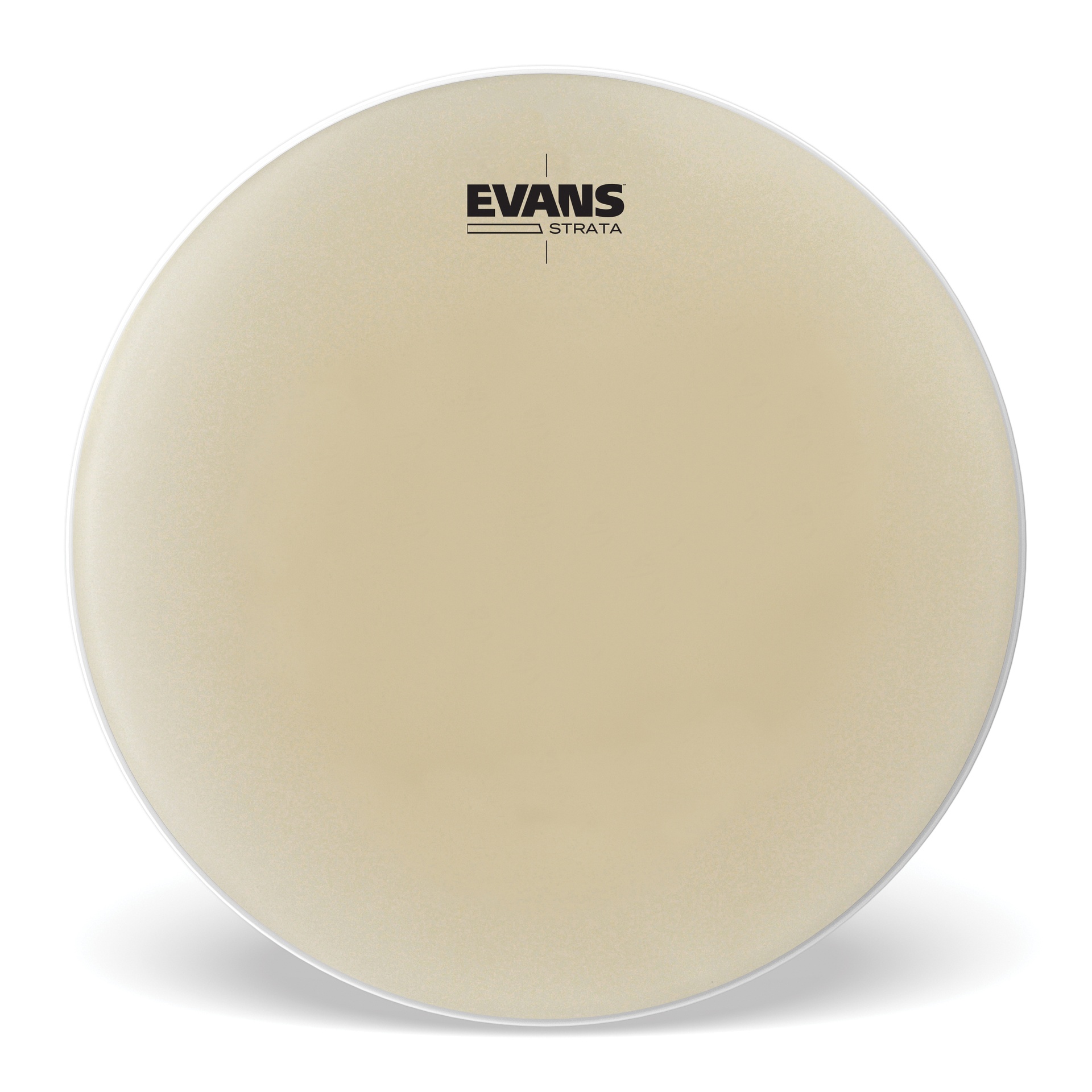 EVANS Strata Series Timpani Drum Head, 22.5 "