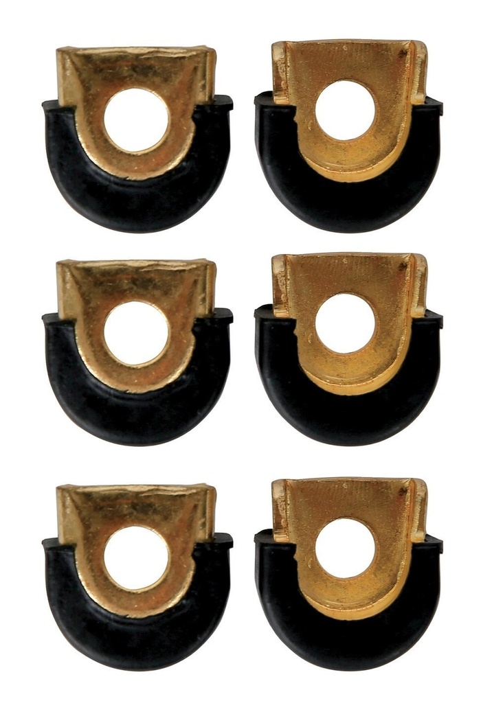 Shell Protectors Conga