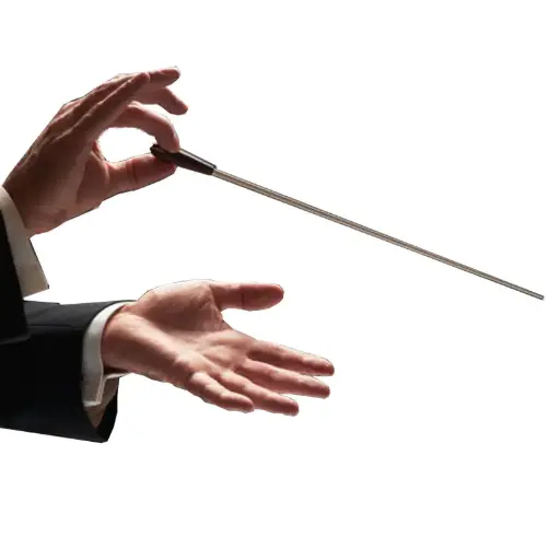 Baguettes de direction