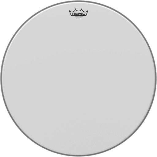 [BA-0120-00] Peau Ambassador sablée 20" pour Tom sur pieds
