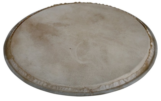 [LP881.990] Peau de Percussion Plenera