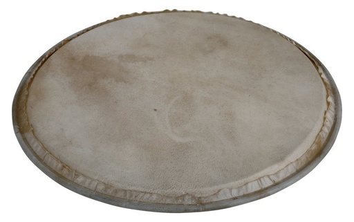 [LP881.994] Peau de Percussion Plenera